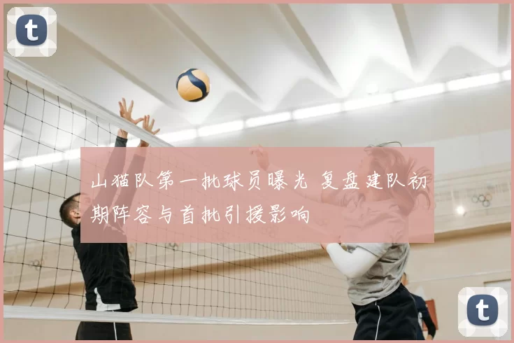 山猫队第一批球员曝光 复盘建队初期阵容与首批引援影响