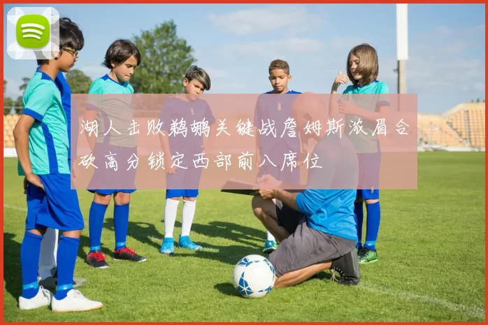 湖人击败鹈鹕关键战詹姆斯浓眉合砍高分锁定西部前八席位